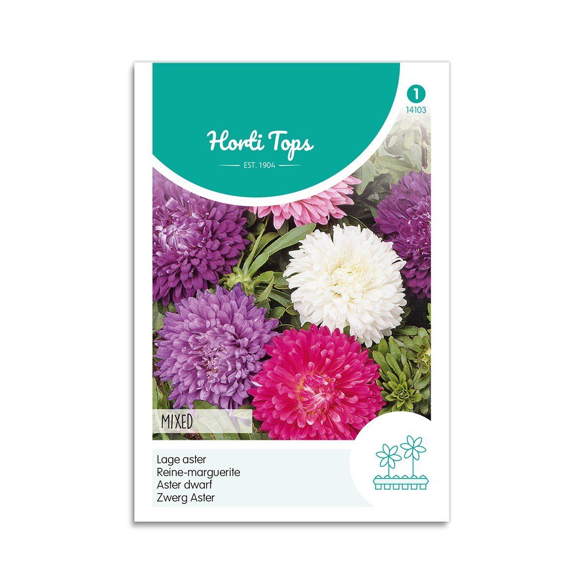 Asters frø mix - Horti Tops