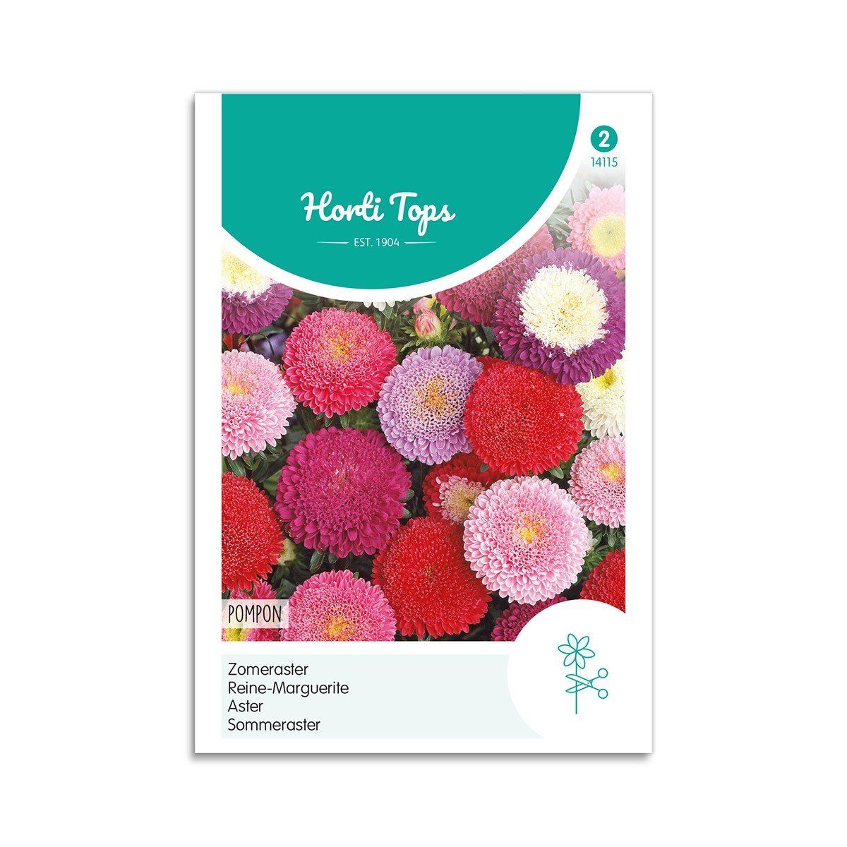 Asters frø "Pompon mix" - Horti Tops