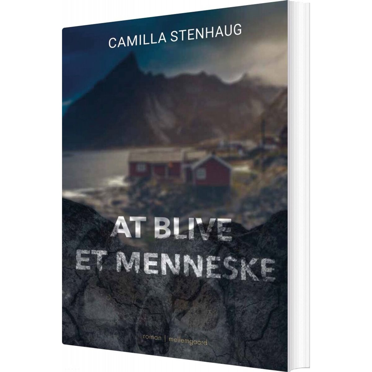 At Blive Et Menneske - Camilla Stenhaug - Bog