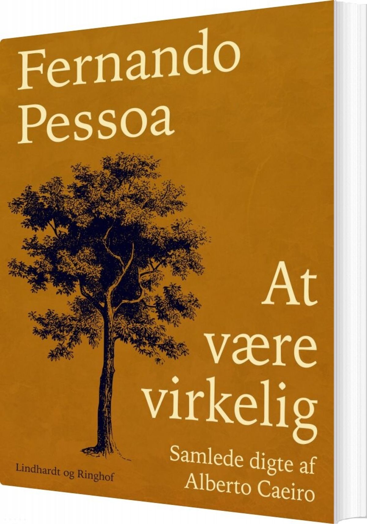 At Være Virkelig - Fernando Pessoa - Bog