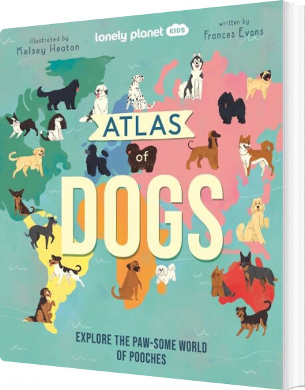 Atlas Of Dogs - Diverse - English Book