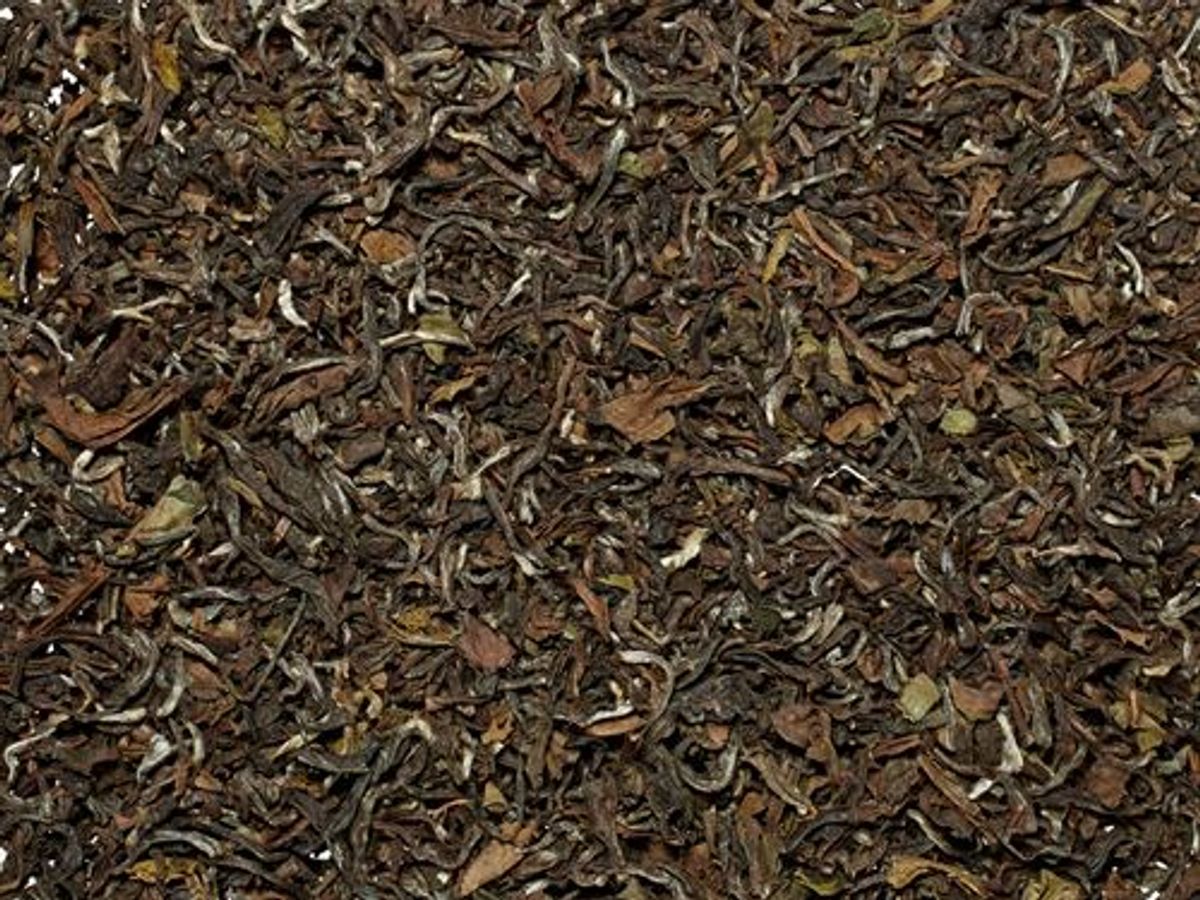 Avongrove Tea Garden Darjeeling 1 kg Øko