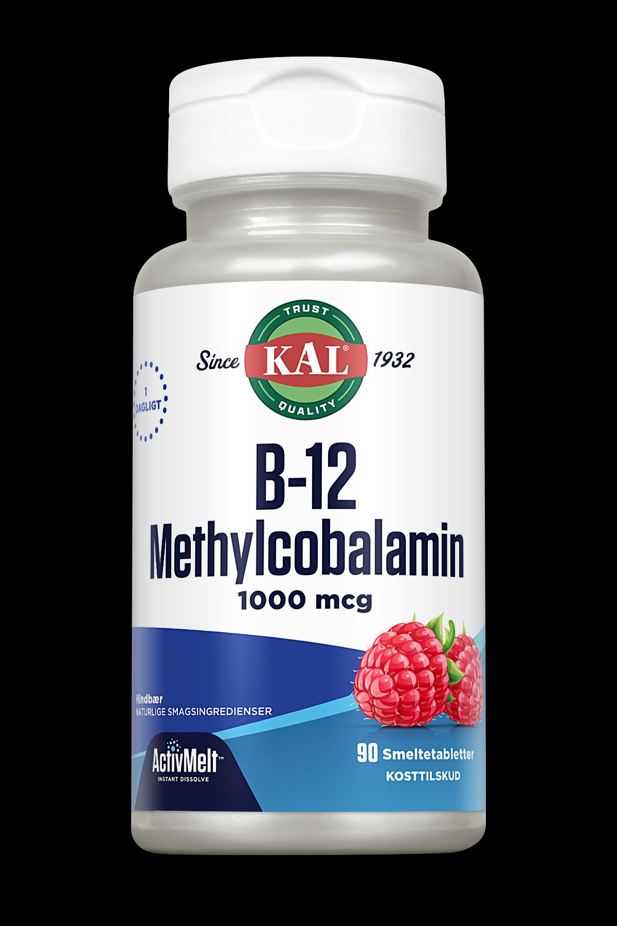 B12 Methylcobalamin 90 tabletter