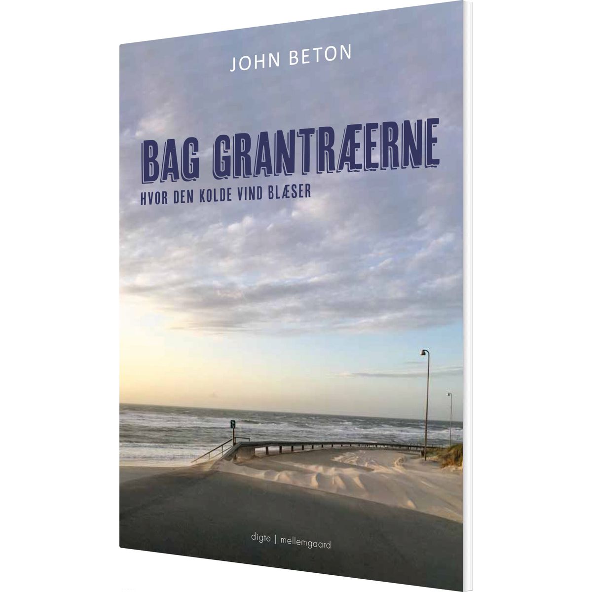 Bag Grantræerne - John Beton - Bog