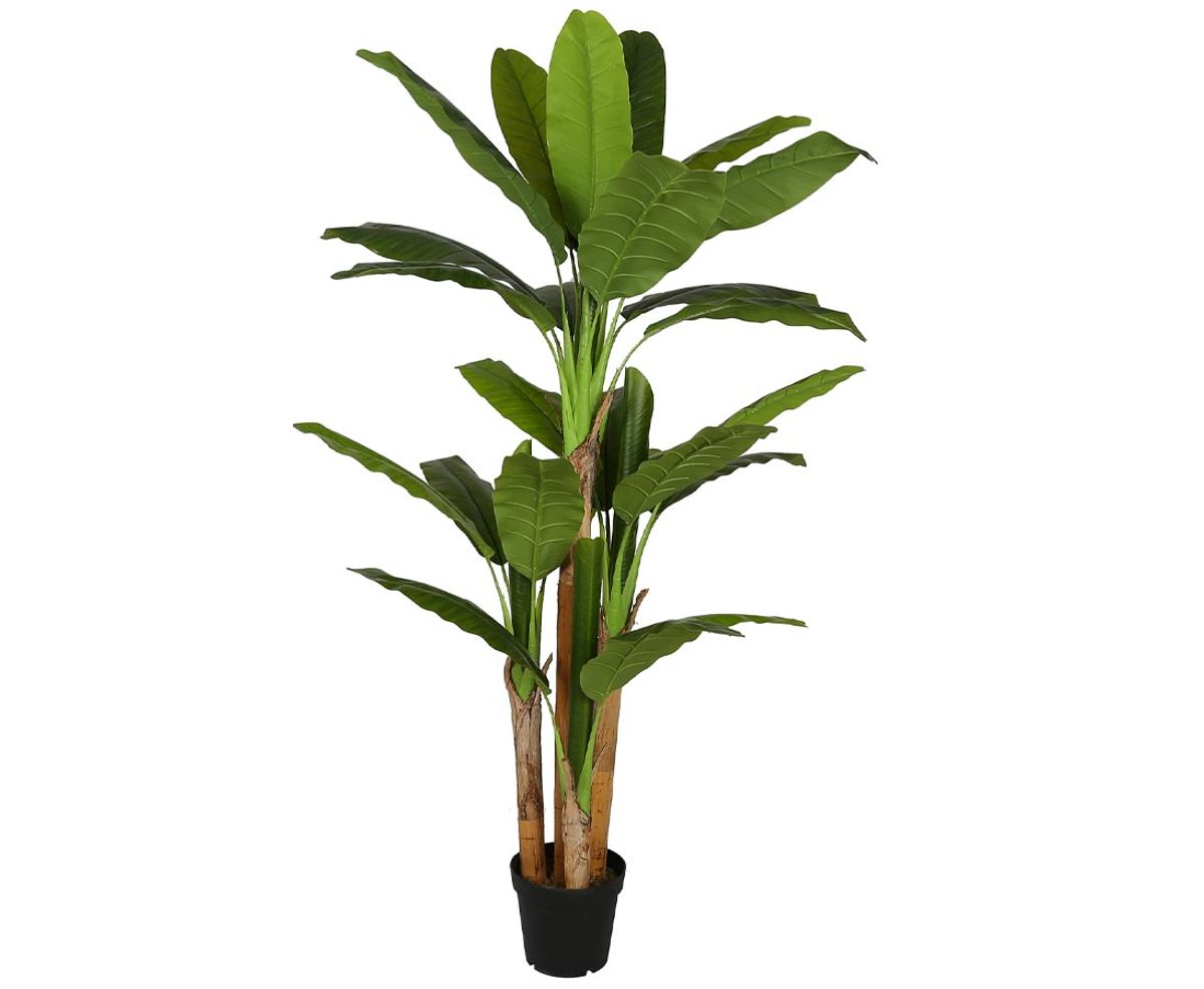 Bananpalme 190 cm med 28 blade