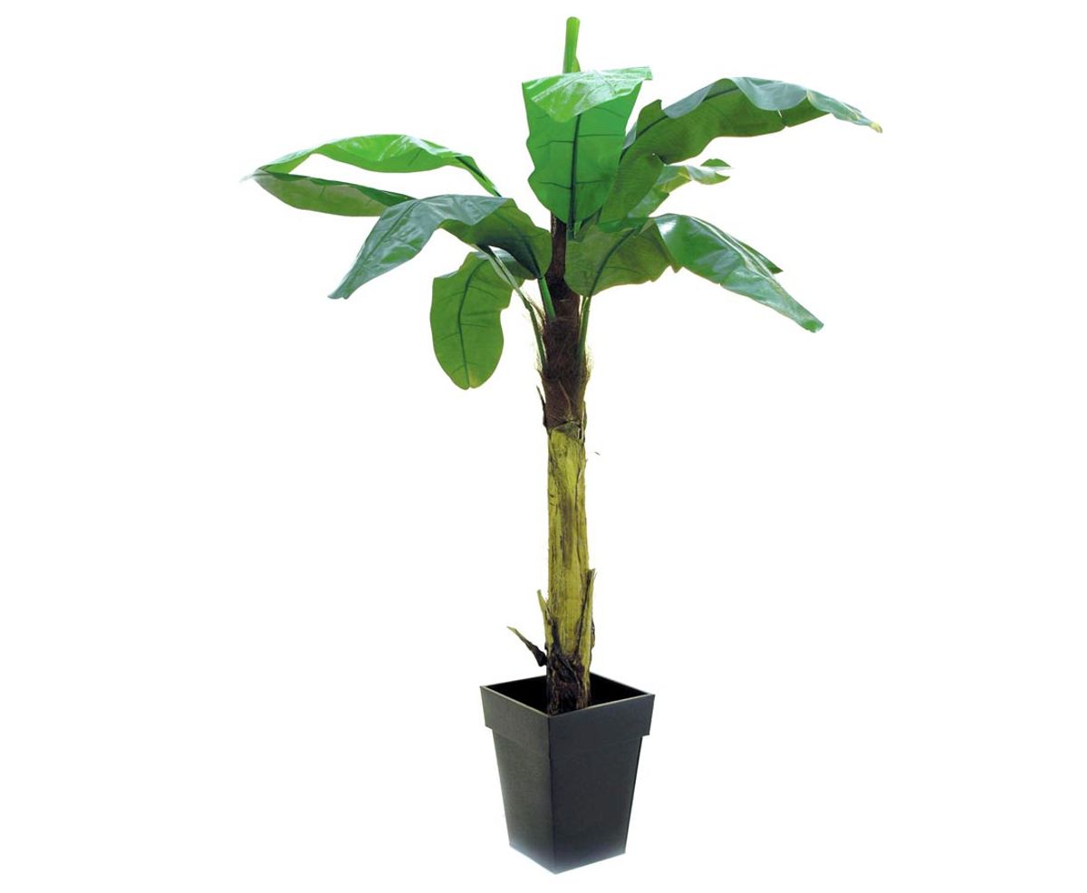 Bananpalme 220 cm med 9 blade