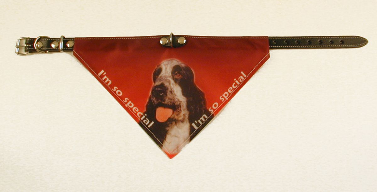 Bandana halsbånd med motiv af Cocker Spaniel.