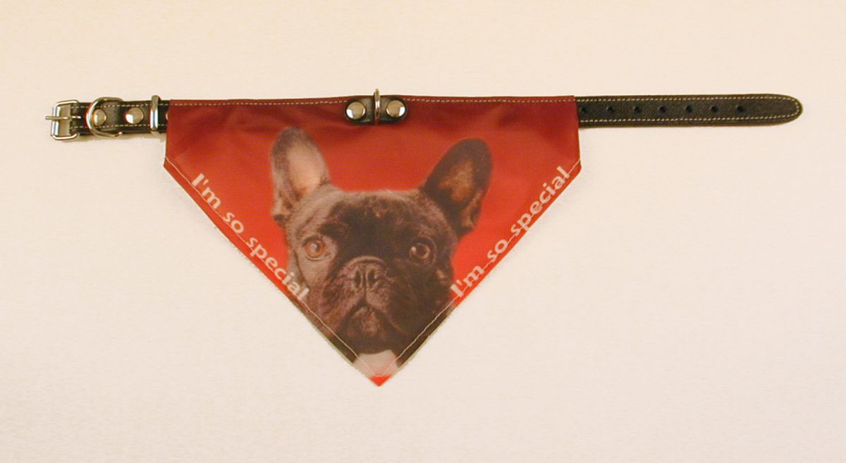 Bandana halsbånd med motiv af Fransk Bulldog.