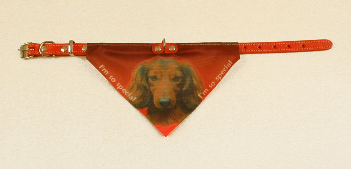 Bandana Hundehalsbånd med motiv af Gravhund. 3 varianter.