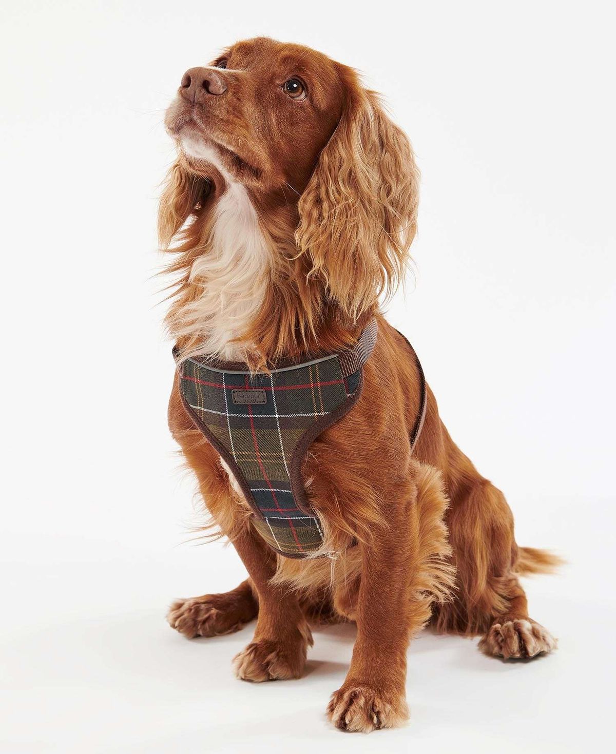 Barbour Hundesele til rejse og motion Classic Tartan