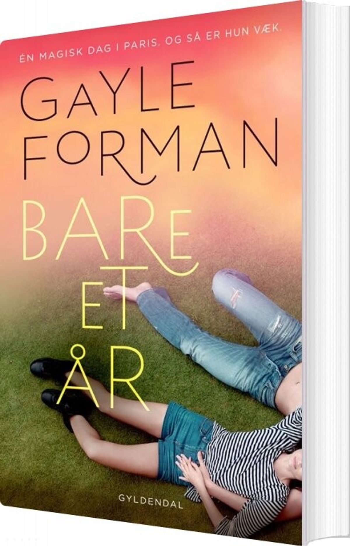 Bare Et år - Gayle Forman - Bog