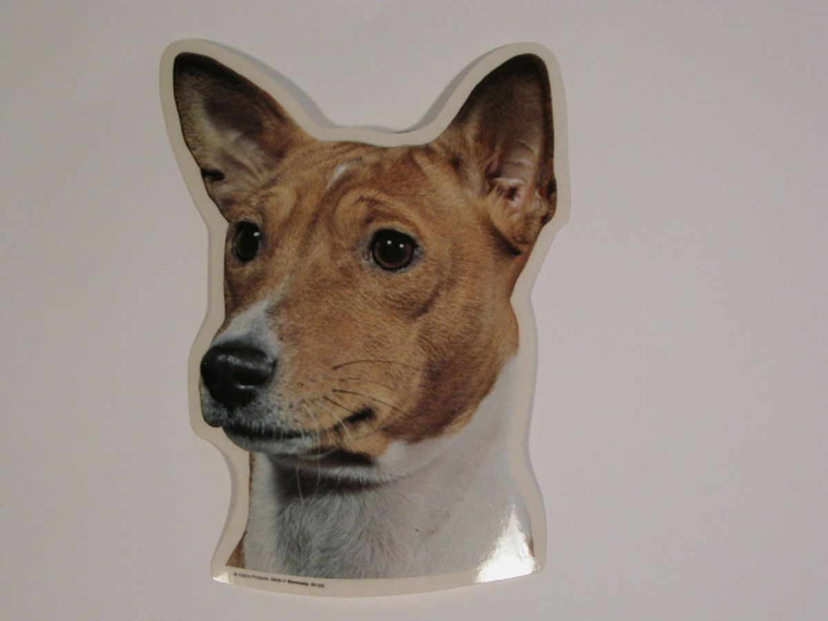 Basenji, hv. Vælg: Klistermærke, nøglering, broche, slipsenål, mm.