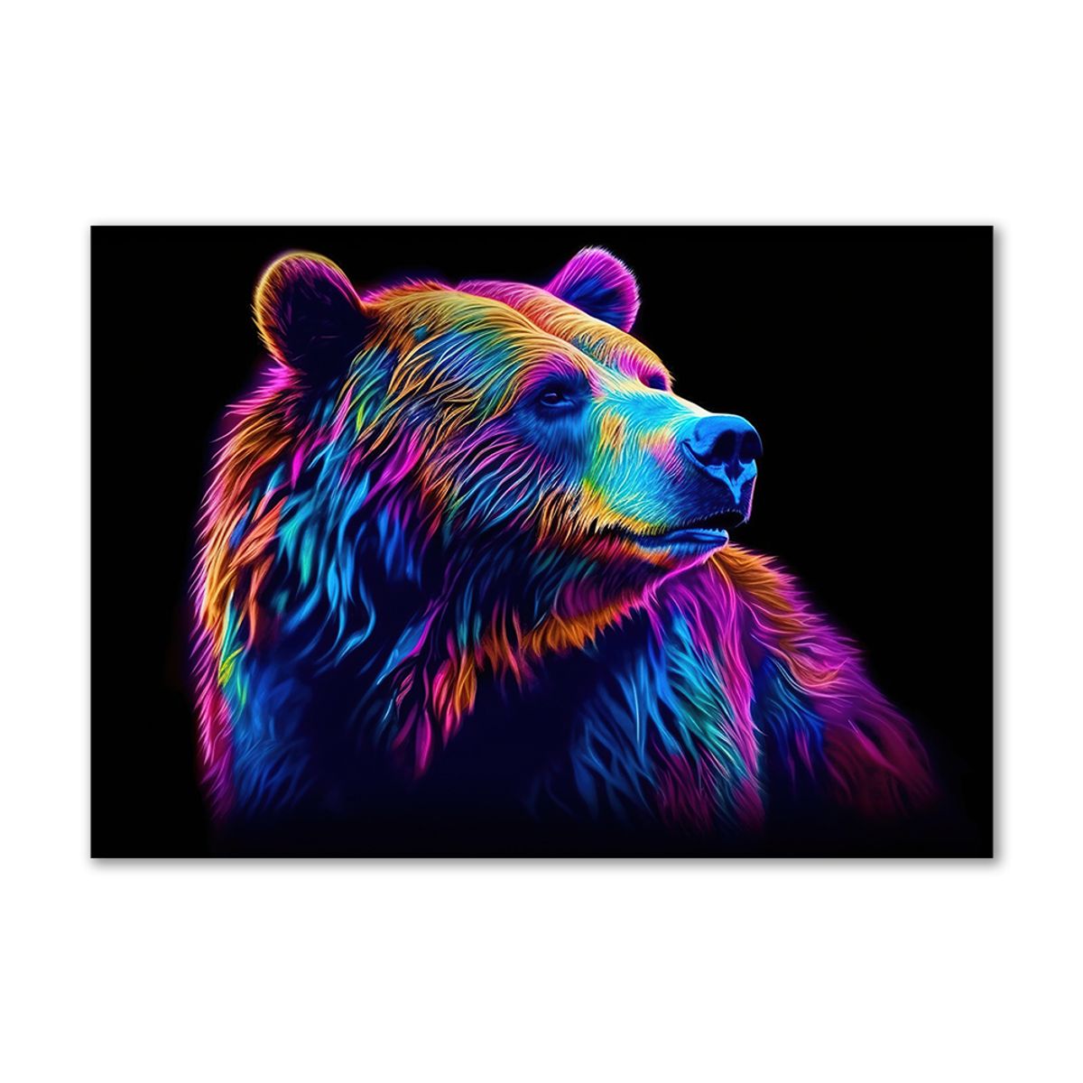 Bear - 70x100 cm - Uden svæveramme