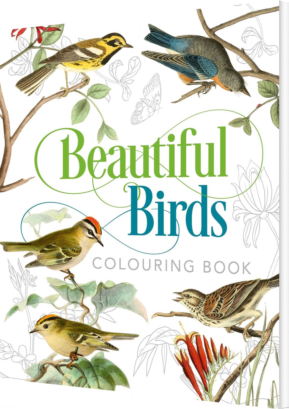 Beautiful Birds Colouring Book - Peter Gray - English Book