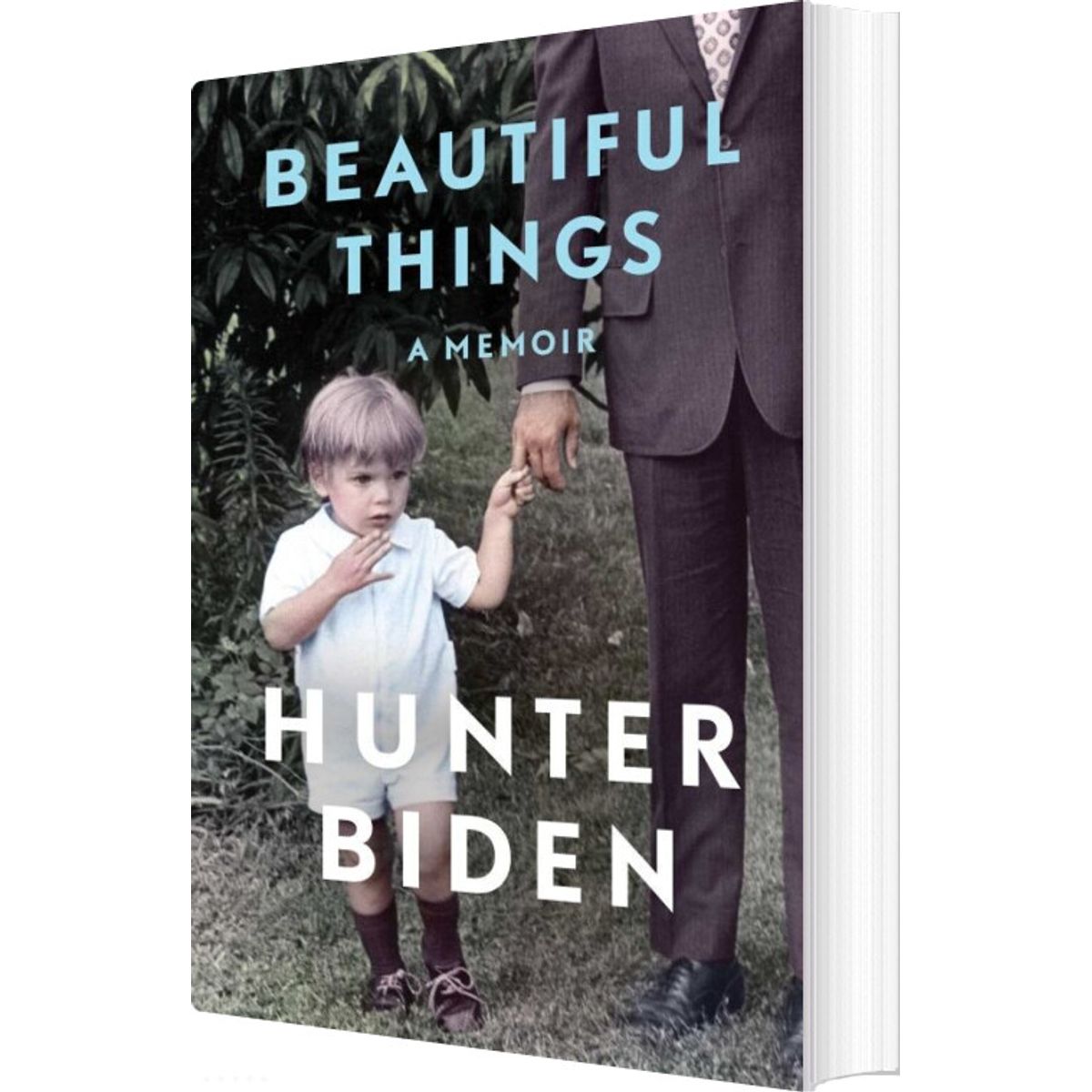 Beautiful Things: A Memoir - Hunter Biden - English Book