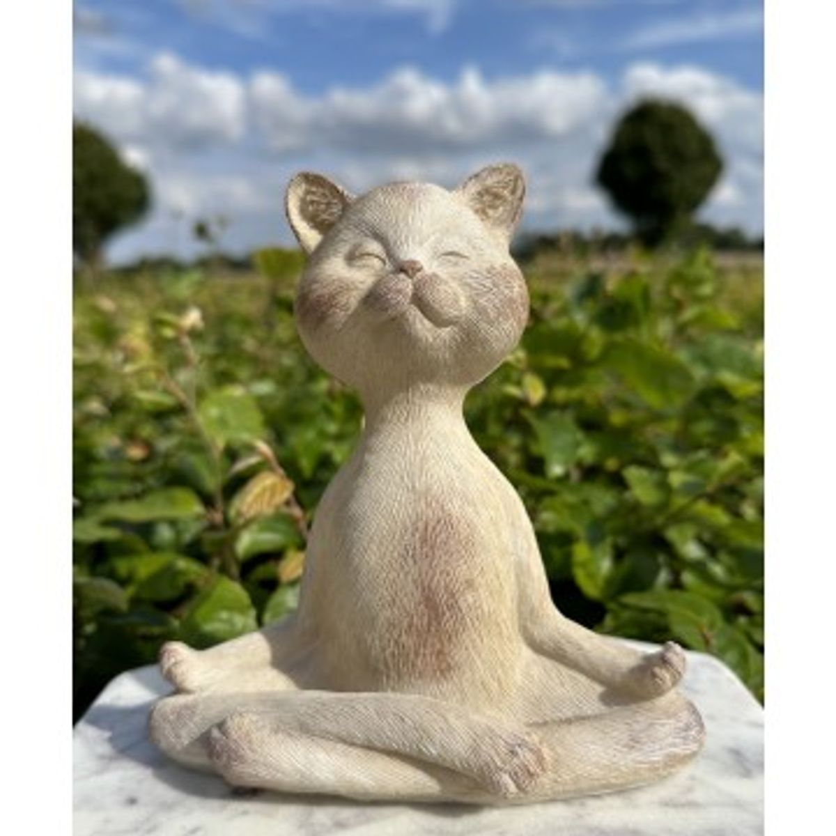 Bedende kat - Yoga Figur - GodKarmaShop