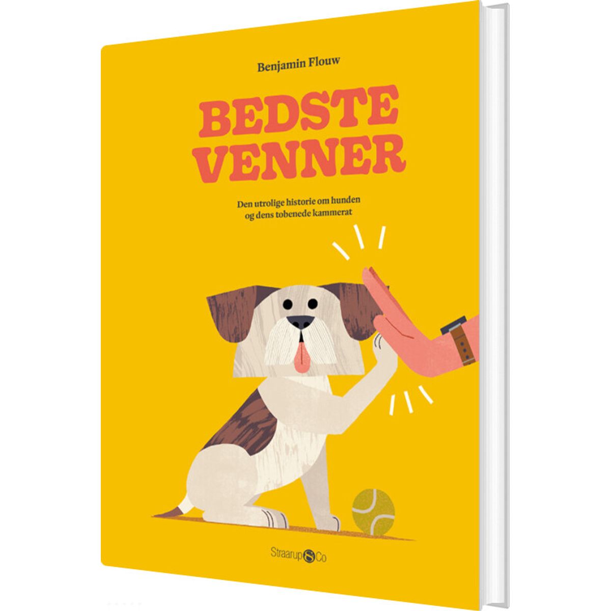 Bedste Venner - Benjamin Flouw - Bog