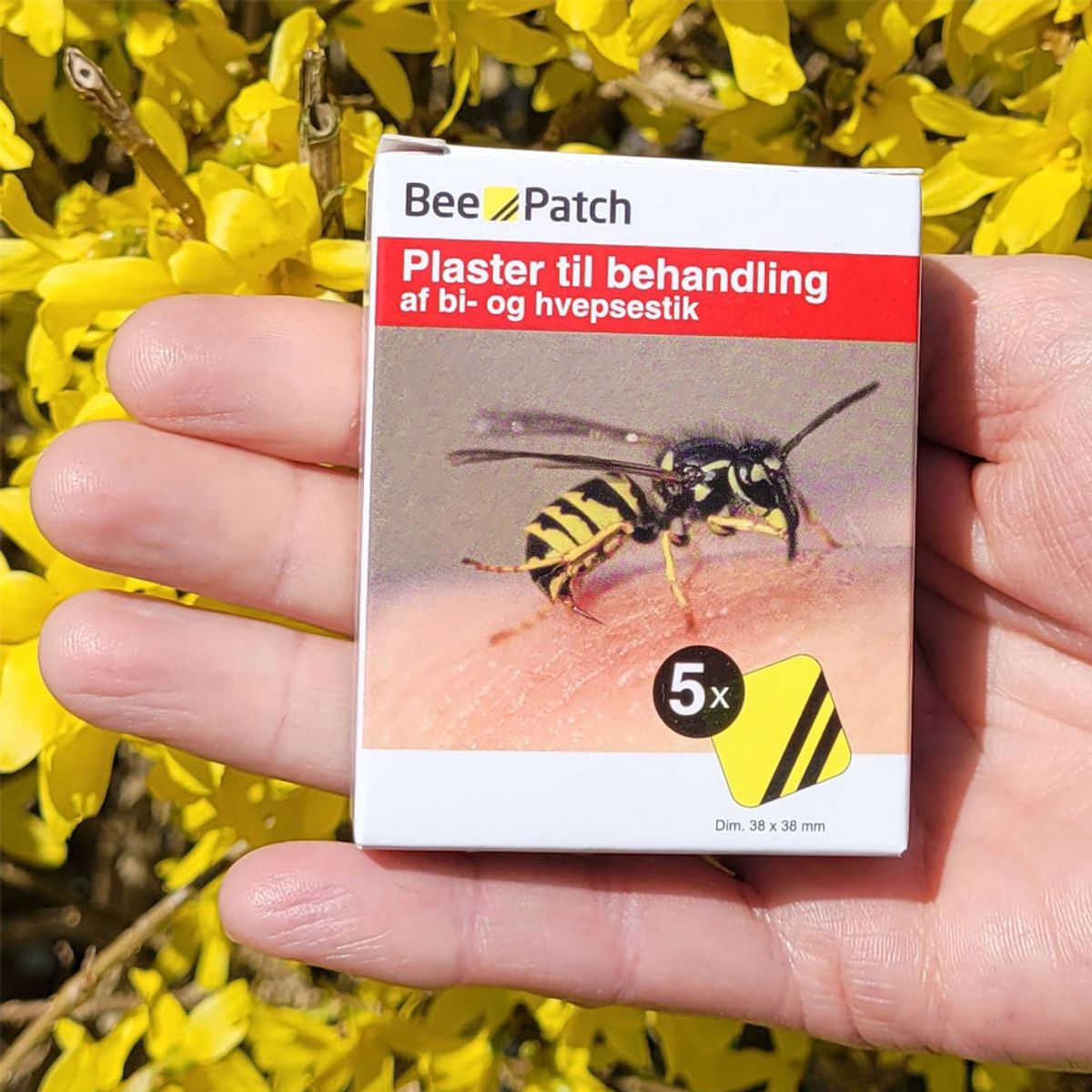 Bee-Patch plaster