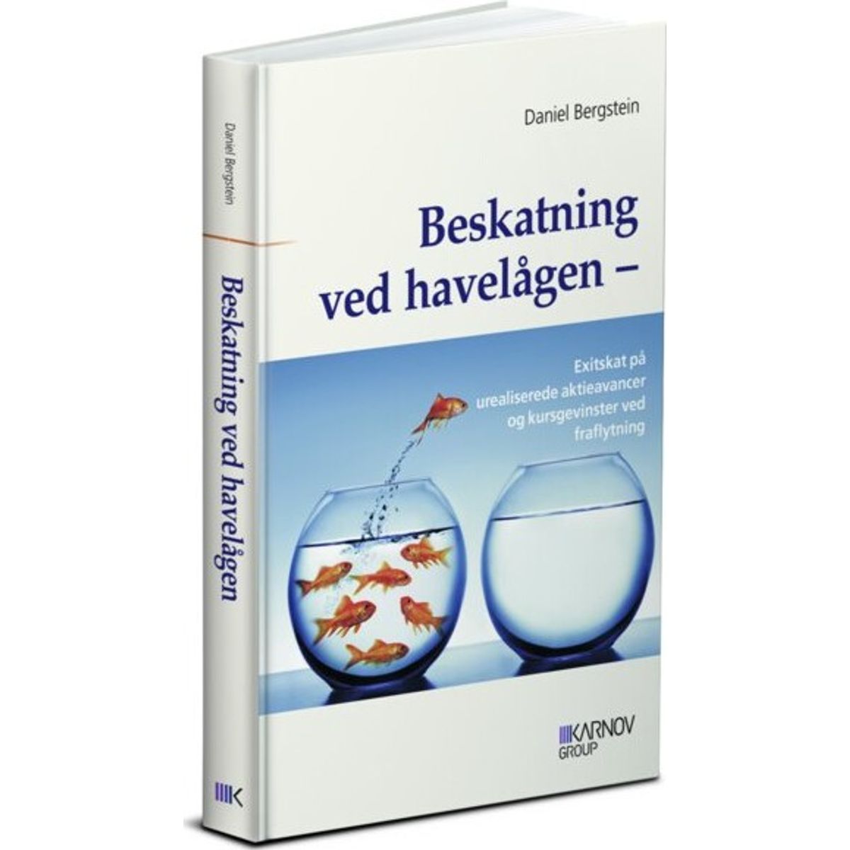 Beskatning Ved Havelågen - Daniel Bergstein - Bog