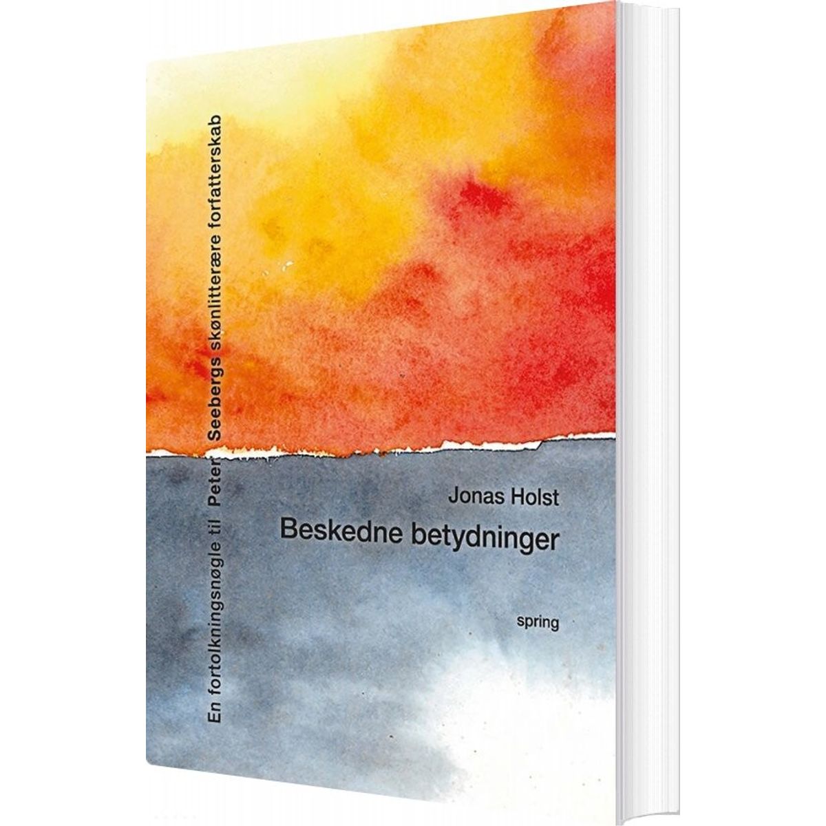 Beskedne Betydninger - Jonas Holst - Bog