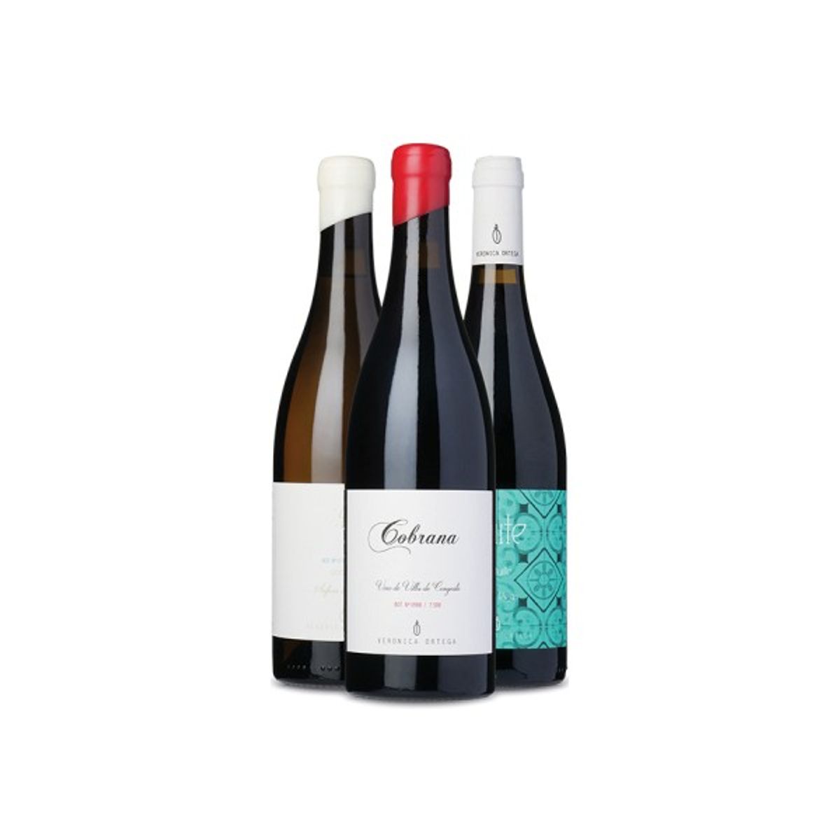 Bierzo-tema ( Vin for begyndere )