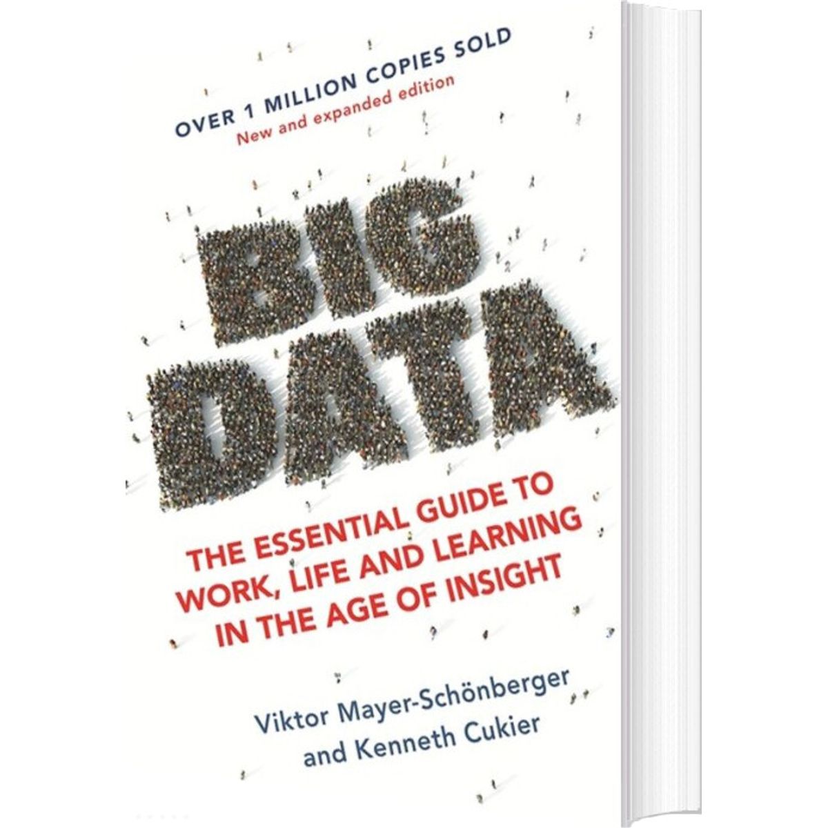 Big Data - Viktor Mayer-schönberger - English Book