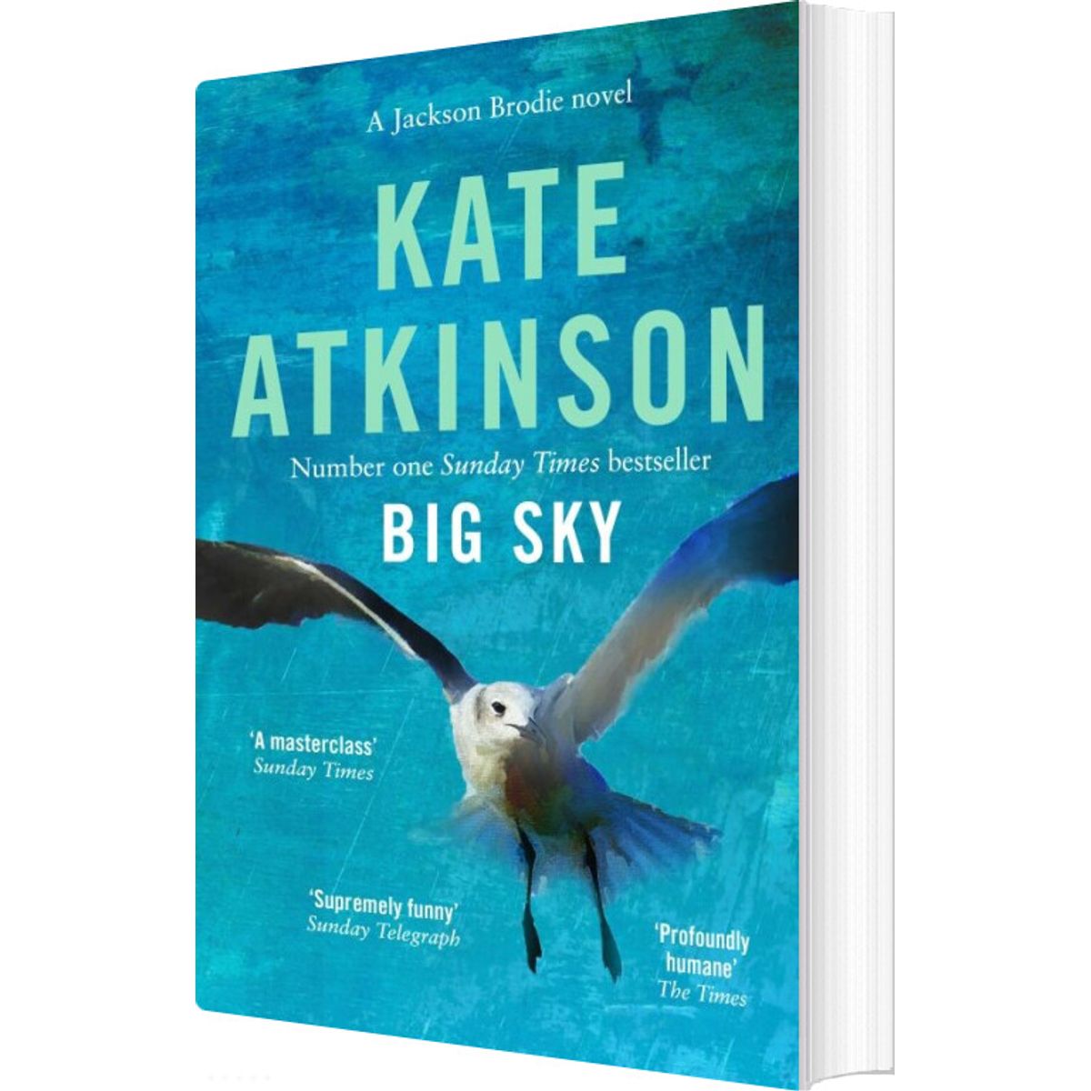 Big Sky - Kate Atkinson - English Book