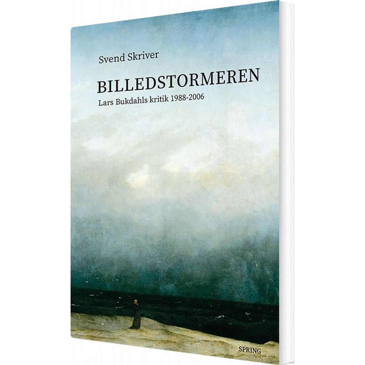 Billedstormeren - Svend Skriver - Bog