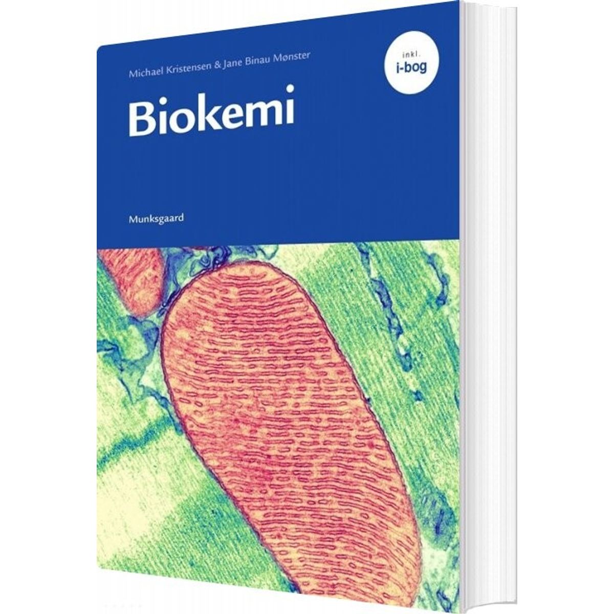 Biokemi - Michael Kristensen - Bog