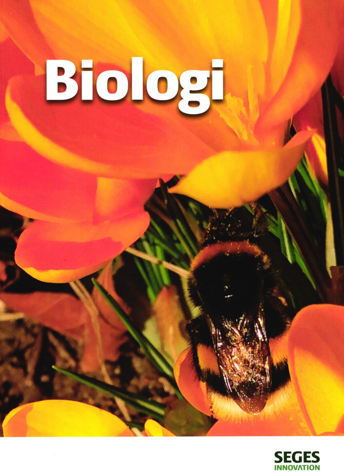 Biologi - Lotte Ipsen - Bog