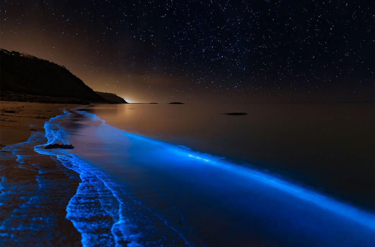 Bioluminescence at the danish coastline af Daniel Faisst