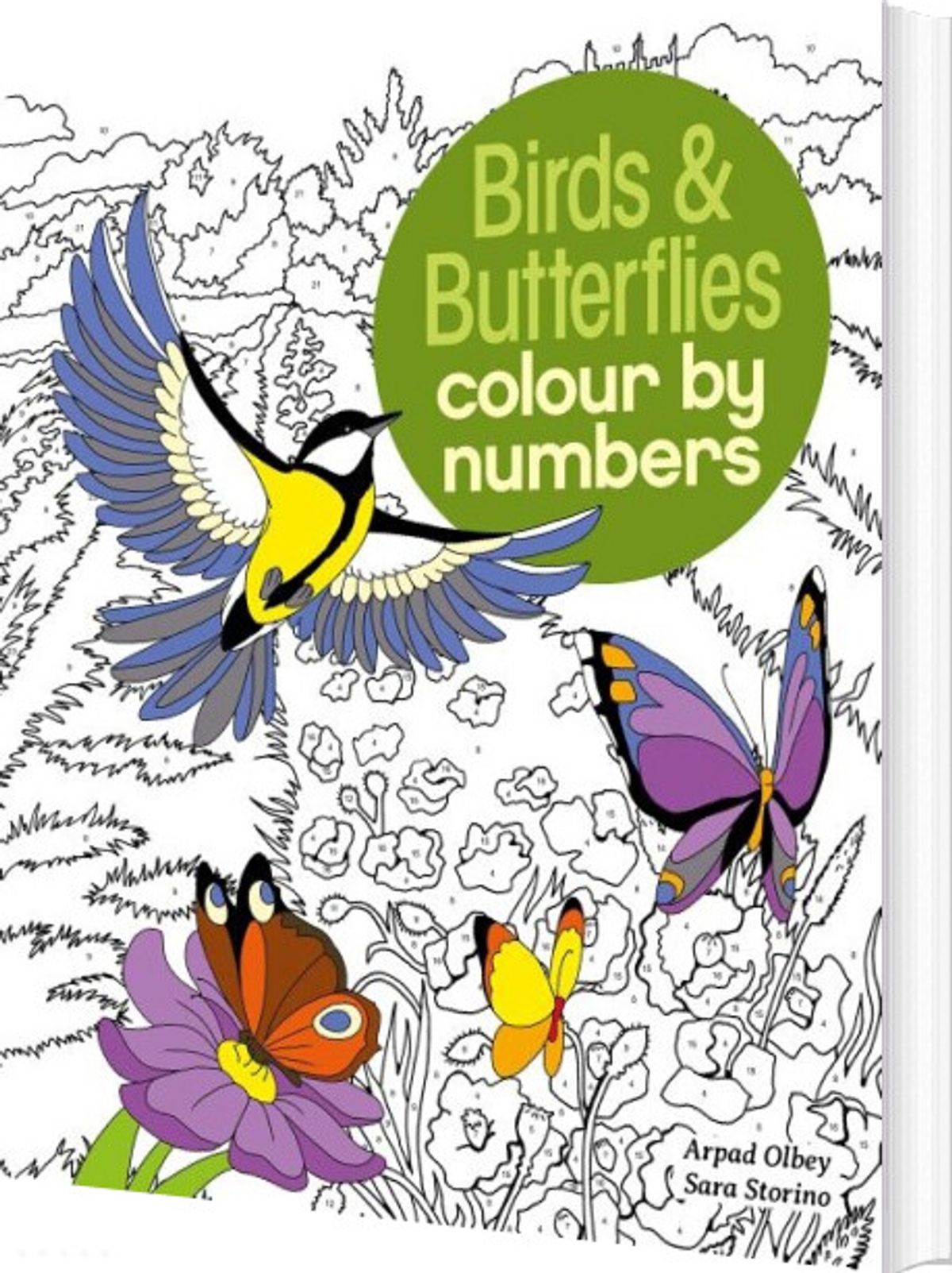 Birds & Butterflies Colour By Numbers - Sara Storino - English Book