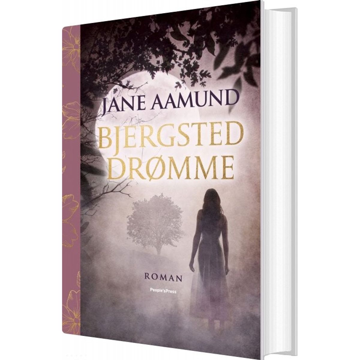 Bjergsted Drømme - Jane Aamund - Bog