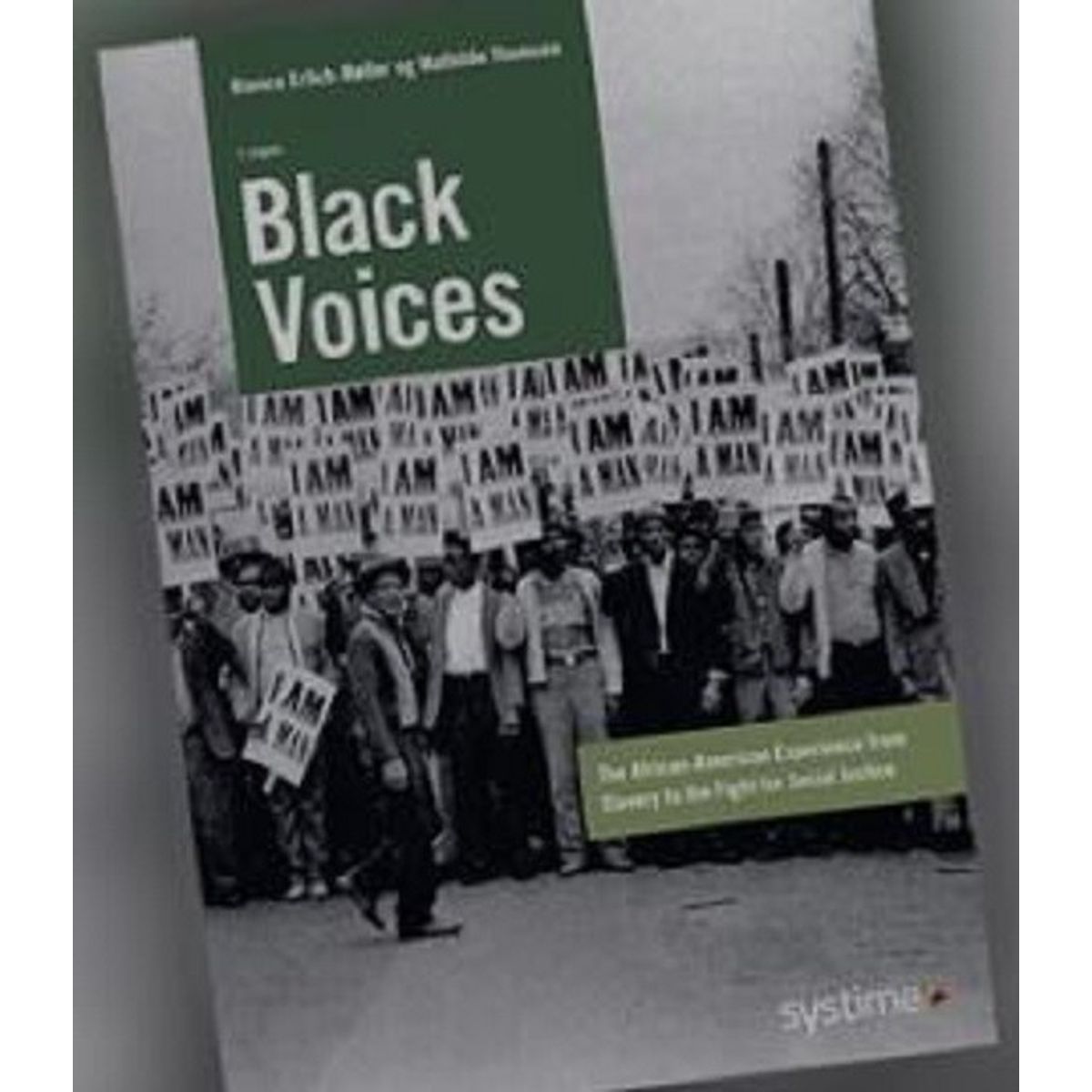 Black Voices - Bianca Erlich-møller - Bog