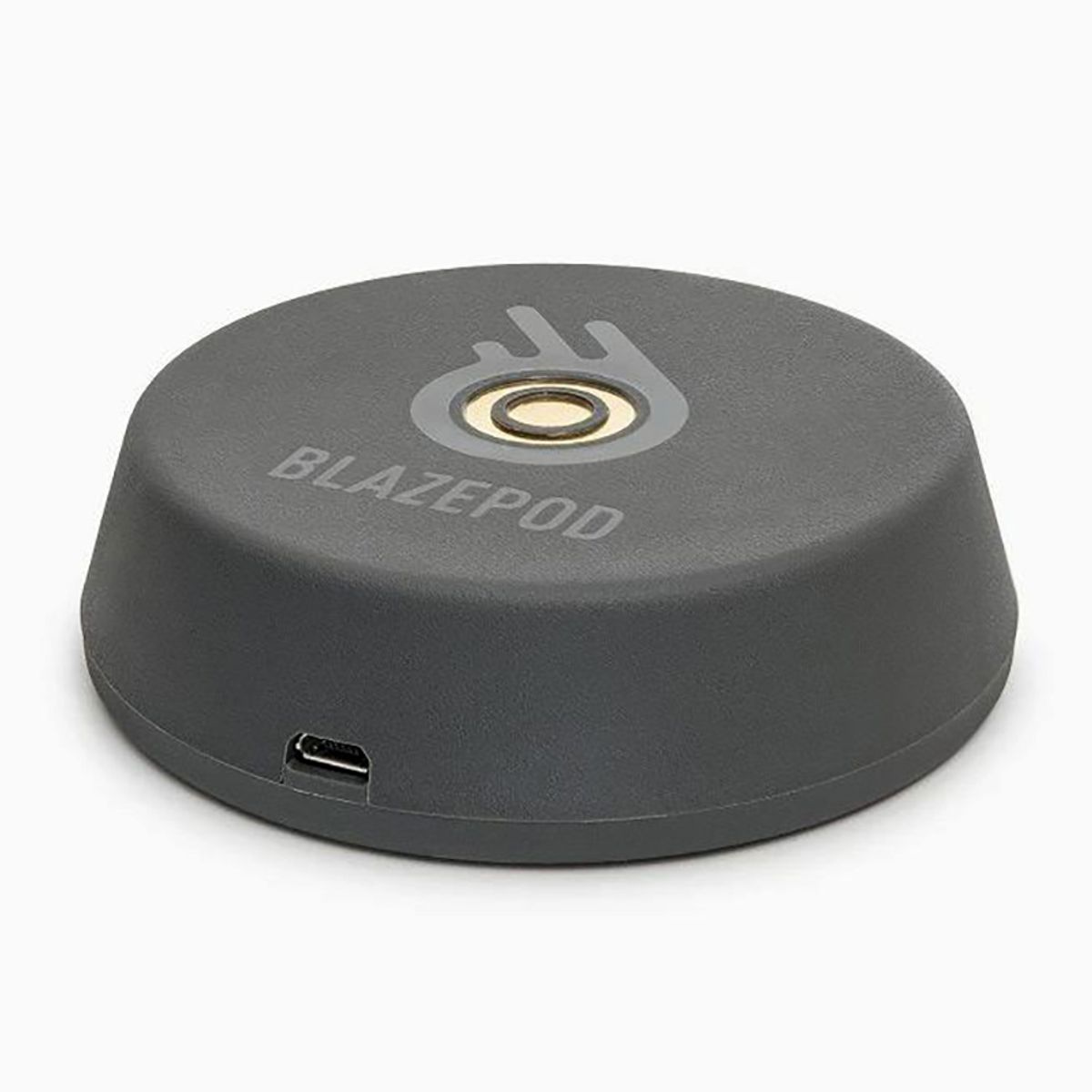 Blazepod Charger