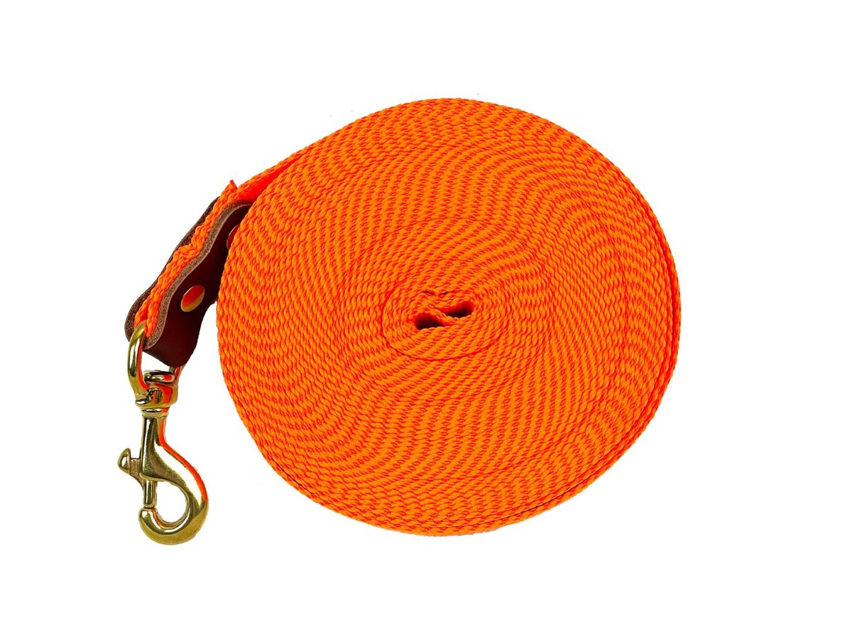 BLF Hunting 10 m Schweissline 25 mm bred webbing