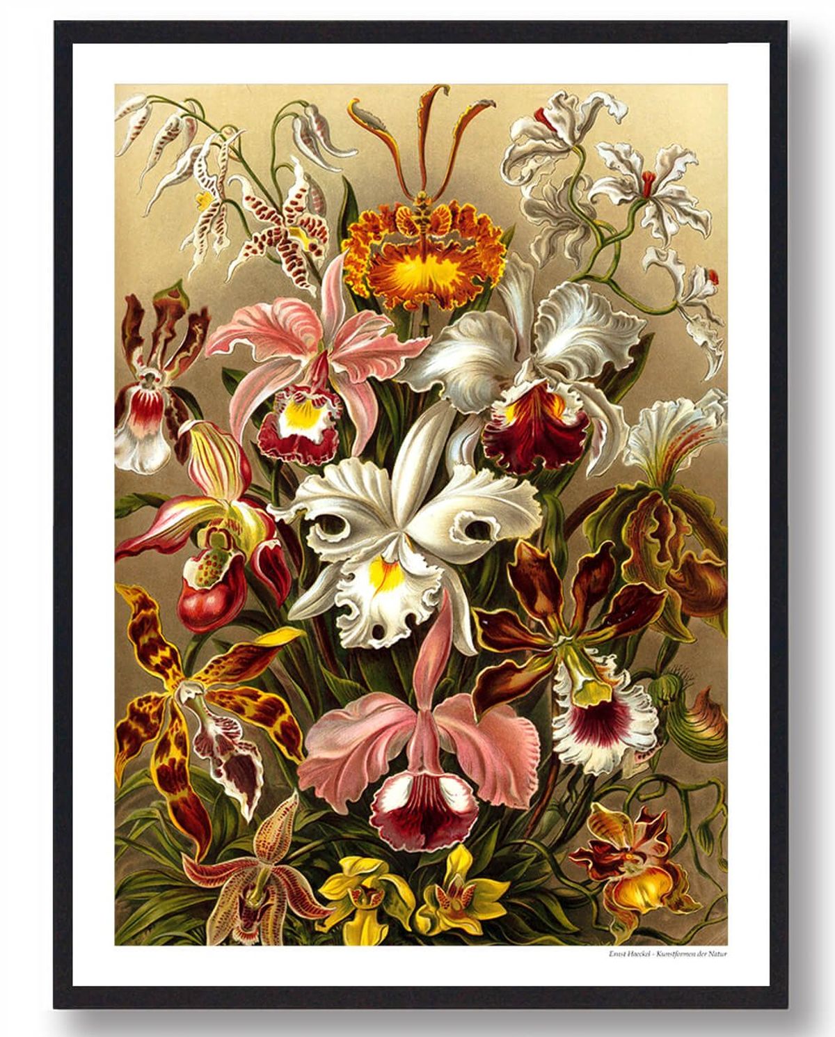 Blomster - plakat (Størrelse: L - 50x70cm (B2))