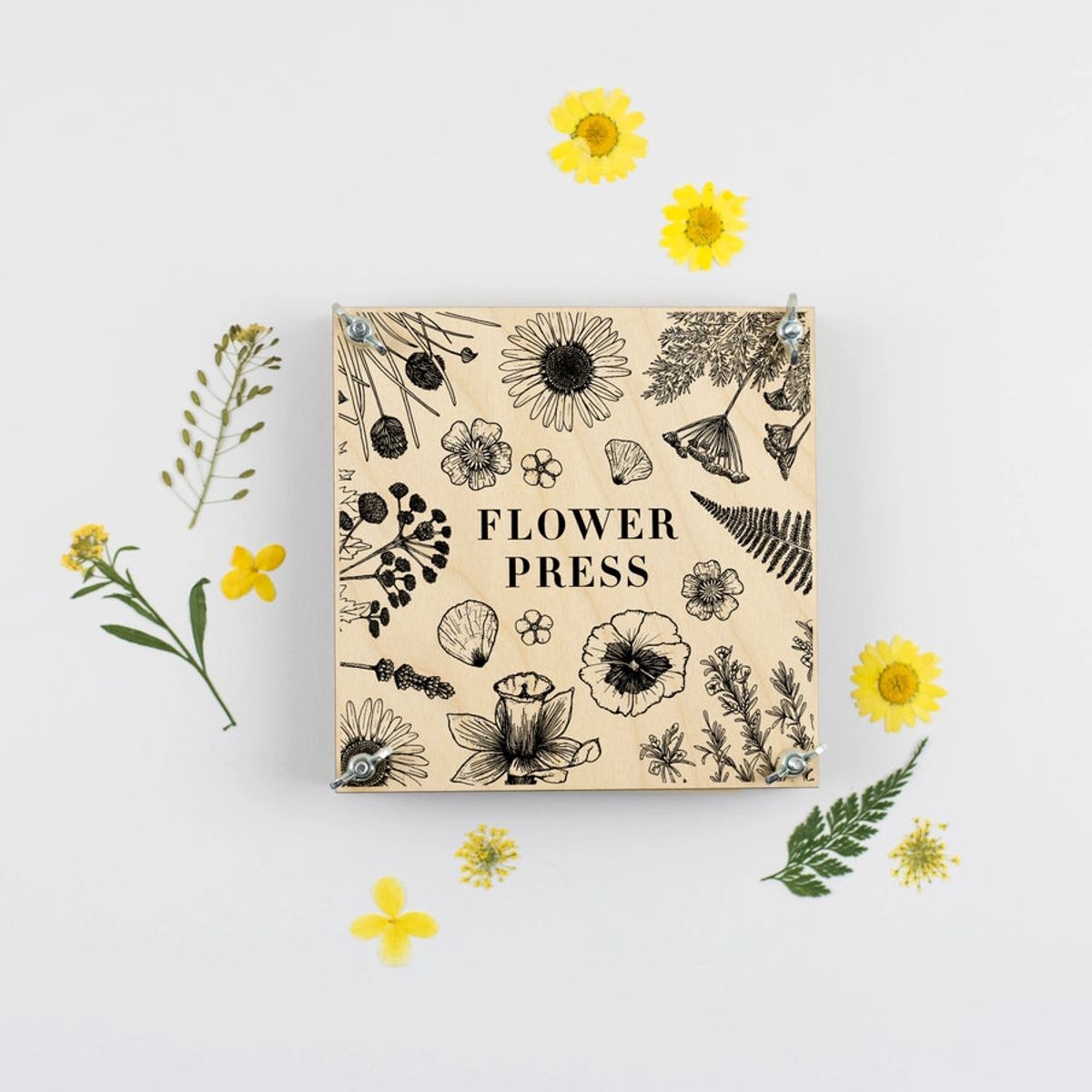 BLOMSTERPRESSER - FLOWER PRESS - - Studio Buus - StudioBuus