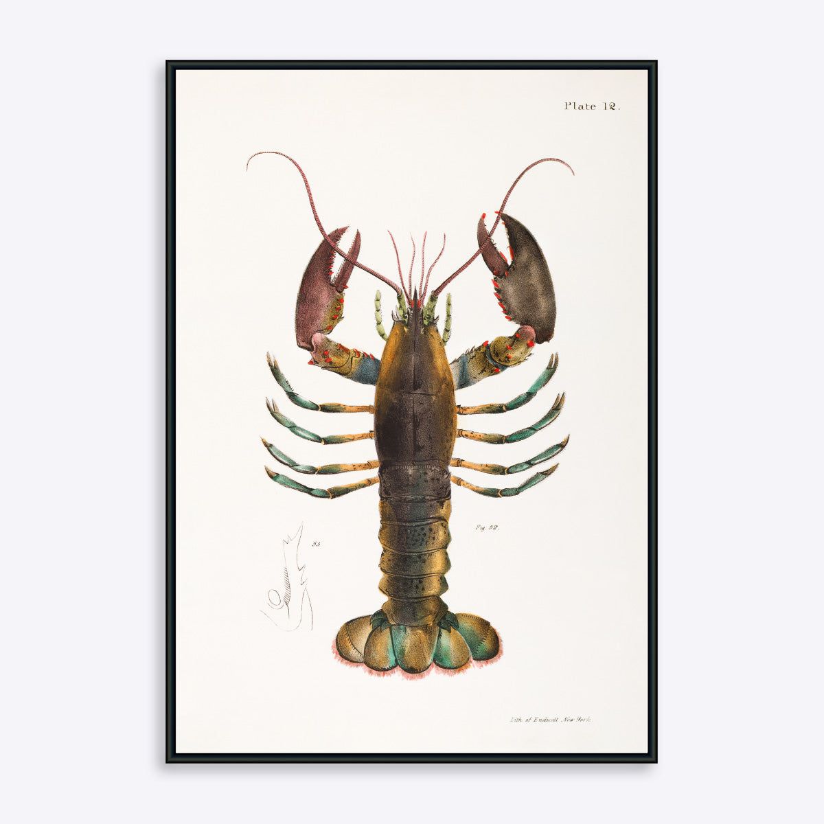 Blueish Lobster - 21x30 cm