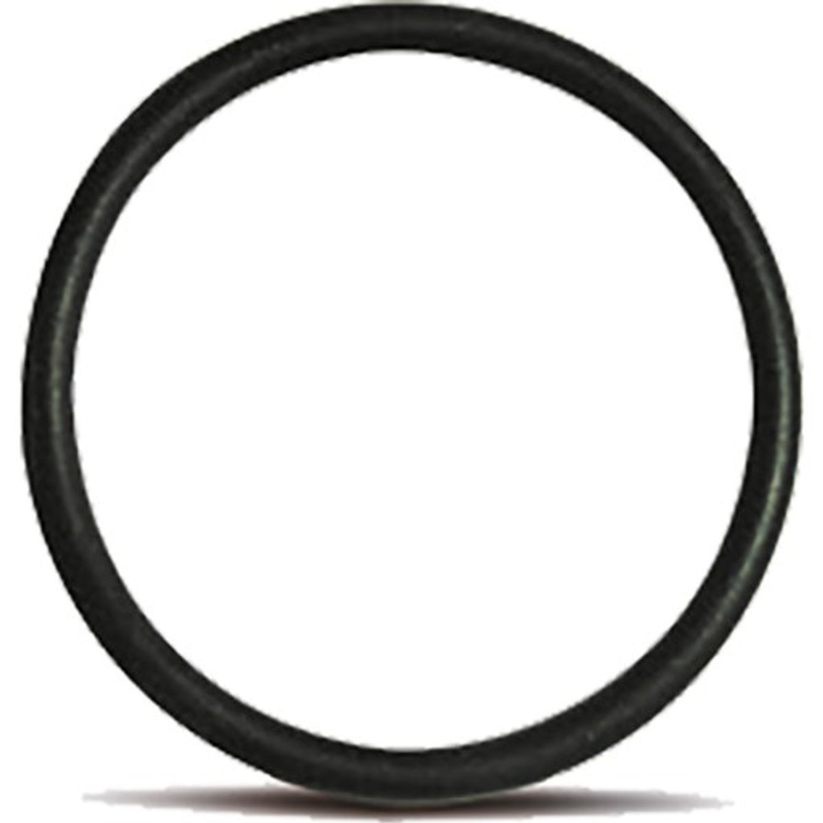 Blueseal 16 mm o-ring NBR