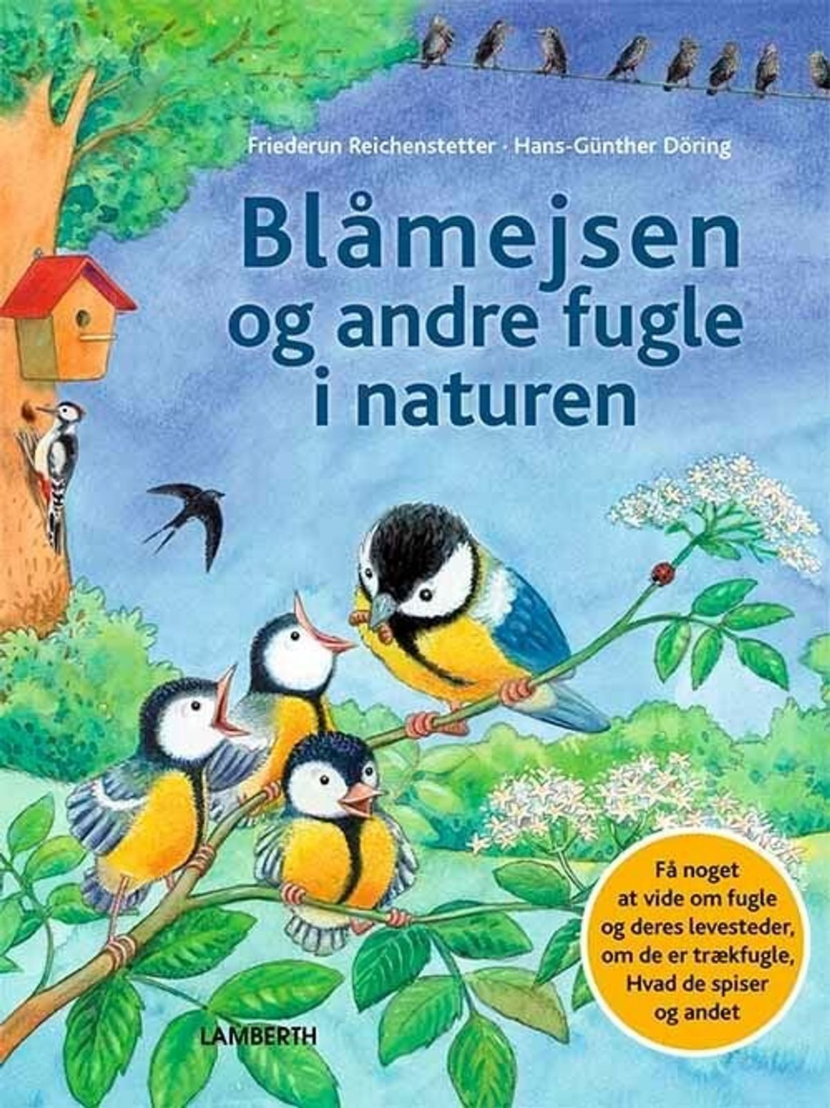 Blåmejsen Og Andre Fugle I Naturen - Friederun Reichenstetter - Bog