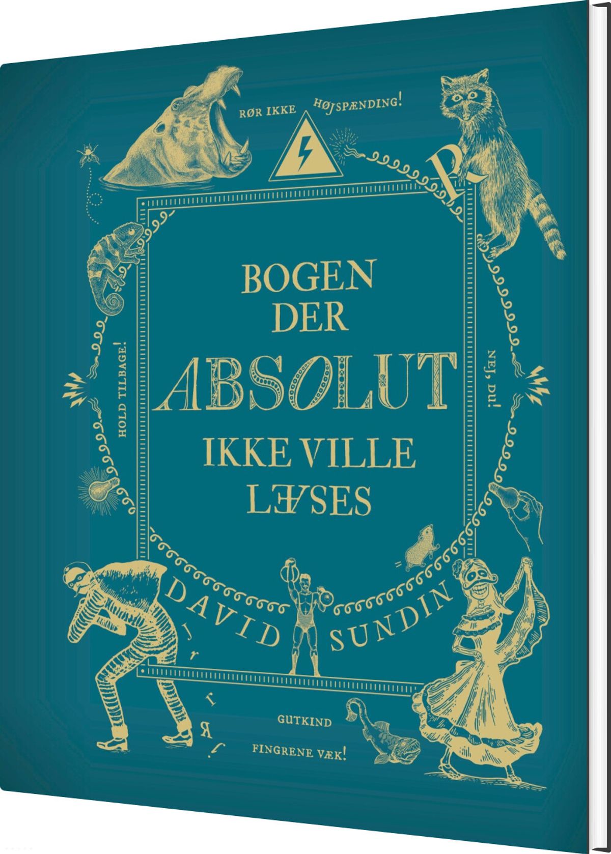 Bogen Der Absolut Ikke Ville Læses - David Sundin - Bog