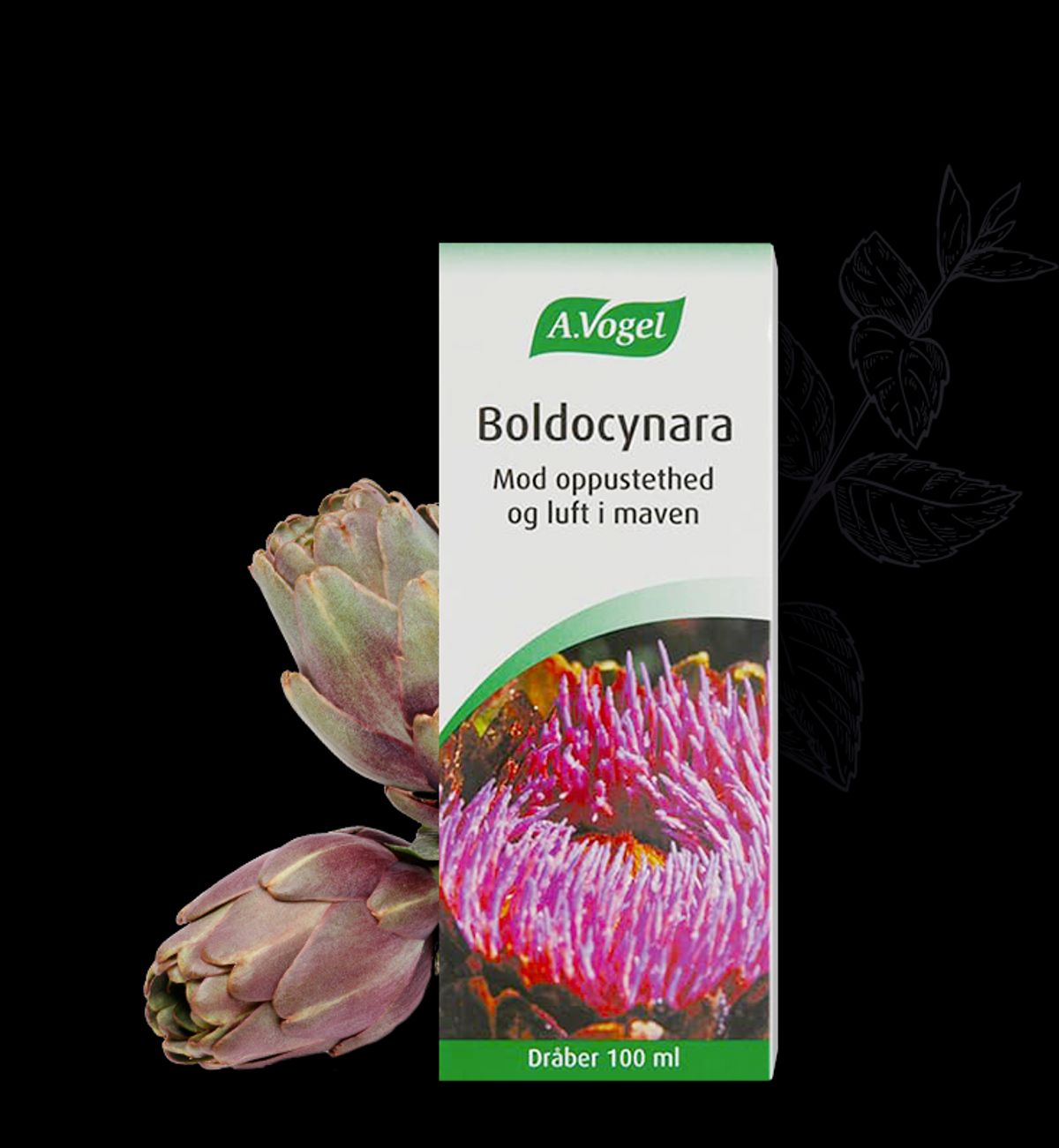 Boldocynara - 50 ml.