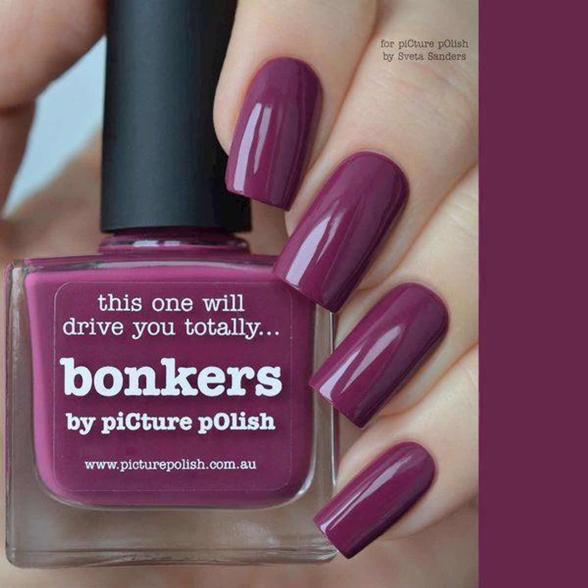 BONKERS, Classic, Picture Polish