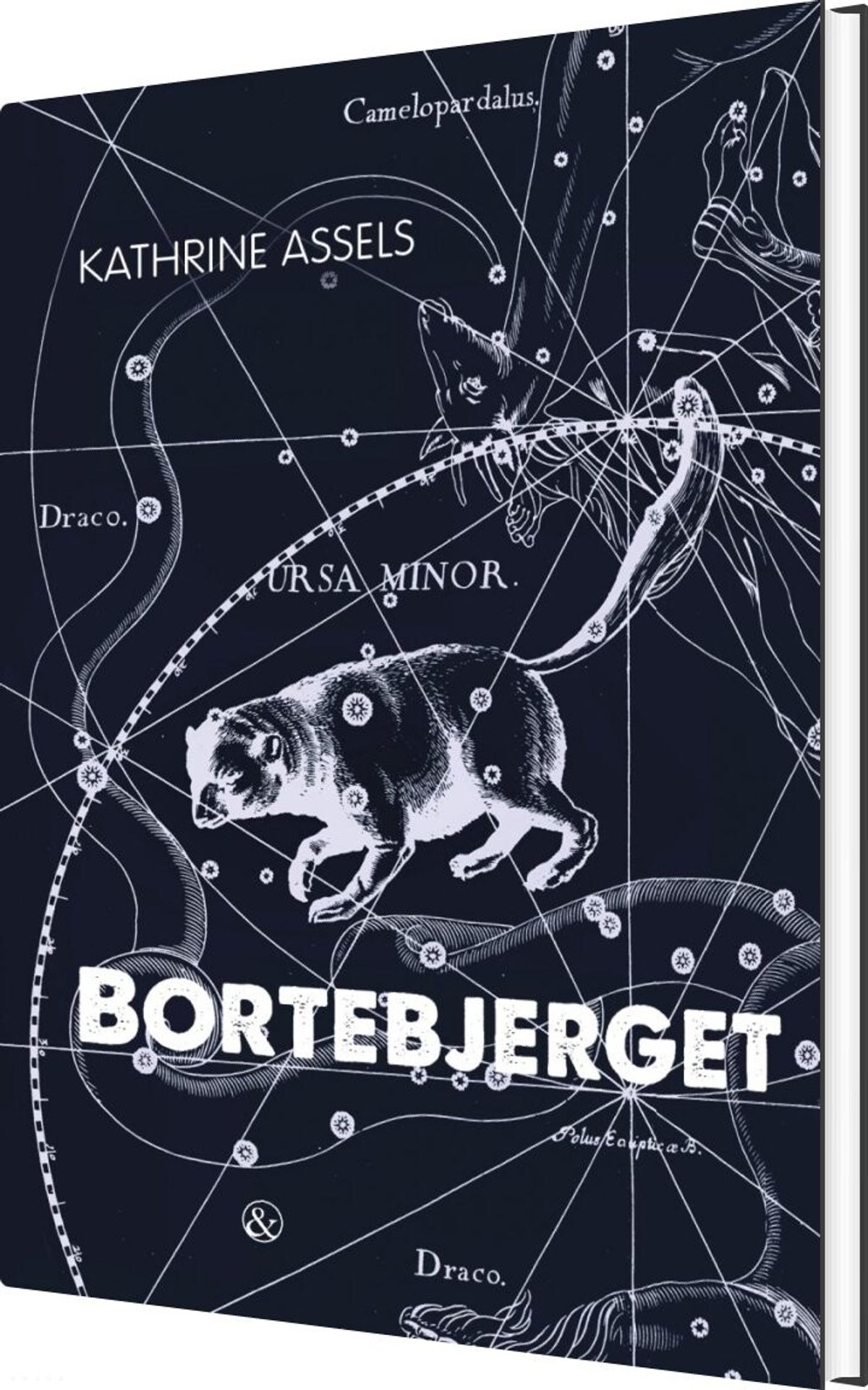 Bortebjerget - Kathrine Assels - Bog