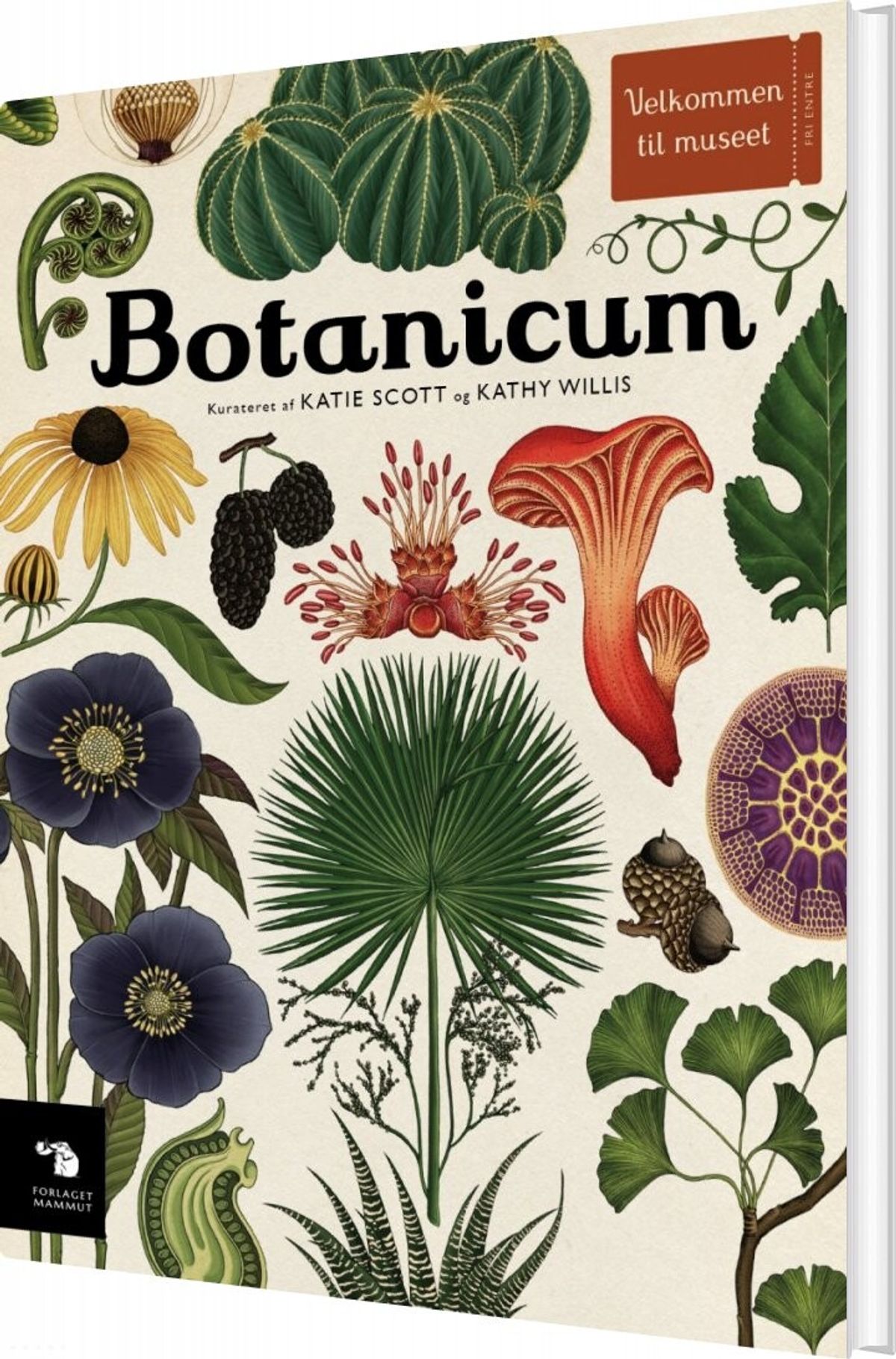 Botanicum - Katie Scott - Bog