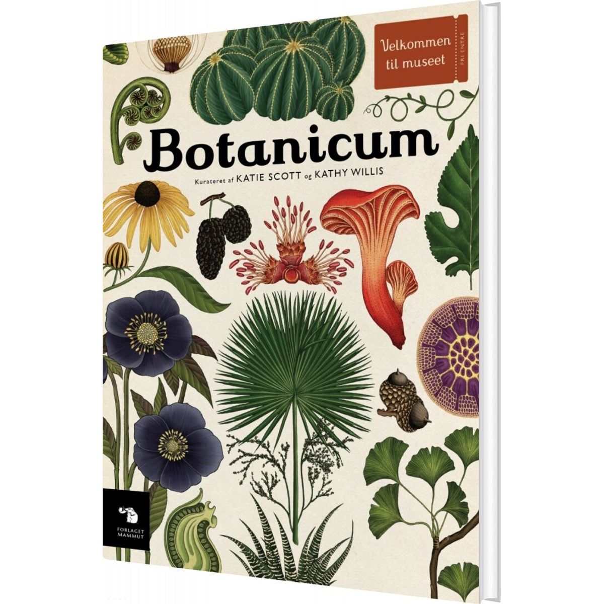 Botanicum - Katie Scott - Bog