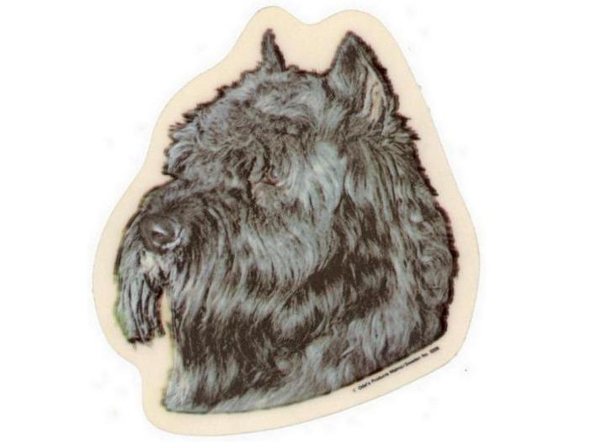 Bouvier des Flanders, hv. Vælg: klistermærke, nøglering, broche, slipsenål, mm.