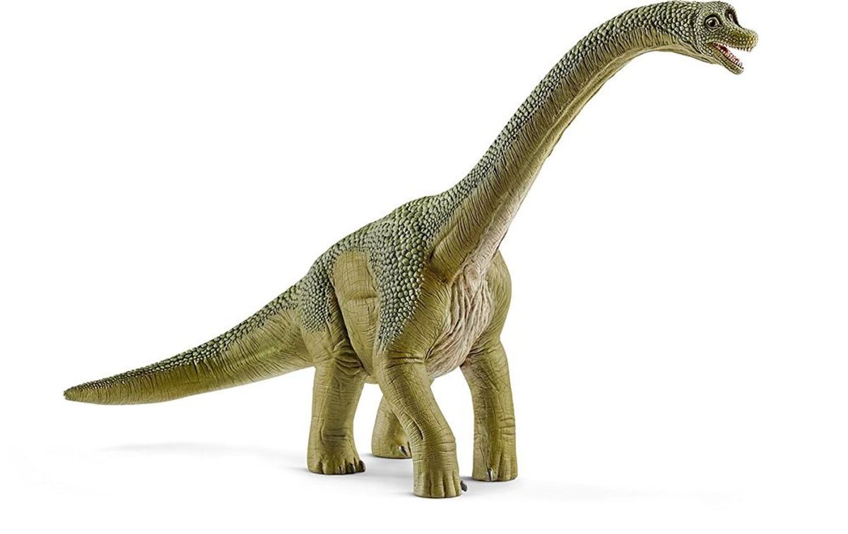 Brachiosaurus