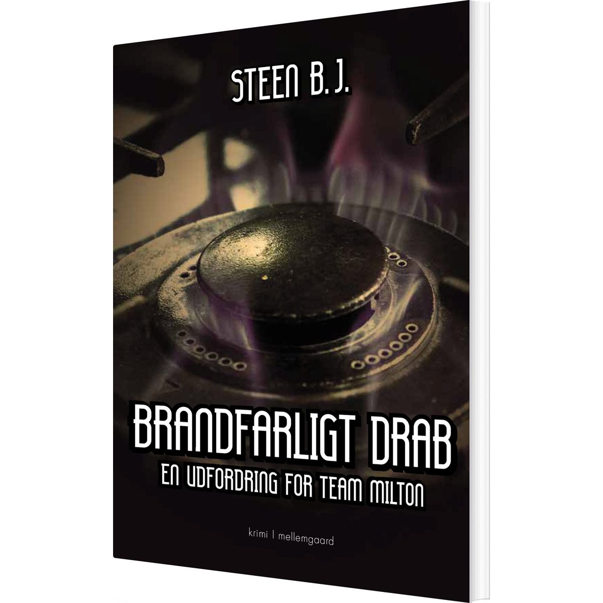 Brandfarligt Drab - Steen B.j - Bog